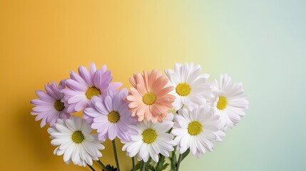 Fototapeta premium Fresh and delicate daisies on a pastel background, vibrant and colorful. Aesthetic and elegant floral composition. Generative AI