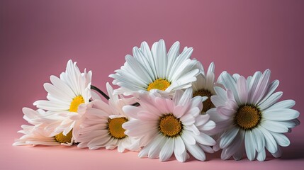 Fresh and delicate daisies on a pastel background, vibrant and colorful. Aesthetic and elegant floral composition. Generative AI