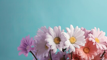 Fresh and delicate daisies on a pastel background, vibrant and colorful. Aesthetic and elegant floral composition. Generative AI