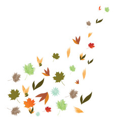 abstract, art, autumn, autumn leaves, autumnal, background, banner, beautiful, botany, card, color, colorful, concept, decoration, decorative, design, fall, floral, foliage, forest, frame illustration