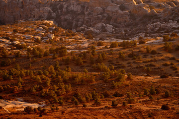 Jordan sunset landscape. Rocky mountain with orange evening in Dana Biosphere Reserve, Jorda. Traveling in Arabia. Stones and valley in Dana nature, wildlife.