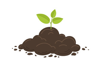 Young plant growth from soil. Farming and agriculture illustration. 