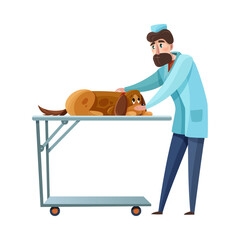 Flat Veterinarian Illustration