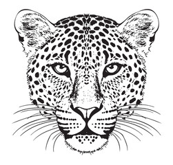 Leopard portrait hand drawn sketch Vector illustration Wild animals © BigJoy