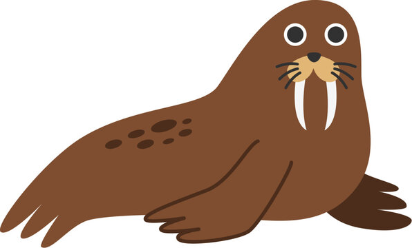 Vector illustration of cartoon walrus isolated on white background.