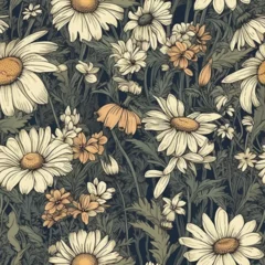 Fototapete Rund A seamless floral pattern with daisy fields in spring. Design for banner, poster, card, invitation, and scrapbook. © White
