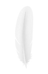 Realistic White Feather