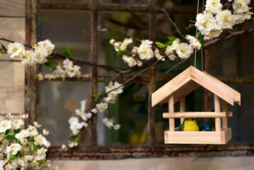 Fototapeta na wymiar Bird feeder on a spring tree