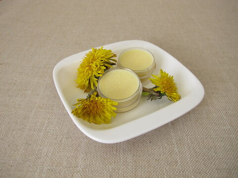 Homemade ointment with dandelion flower oil
