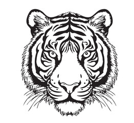 Tiger face sketch hand drawn in cartoon style illustration