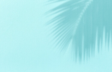 Panorama of texture wall with coconut palm leaf shadow on turquoise background. - 587208548