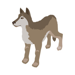 Isometric Wolf Illustration