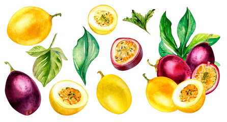 Set of variouse passion fruits and composition watercolor illustration isolated on white.