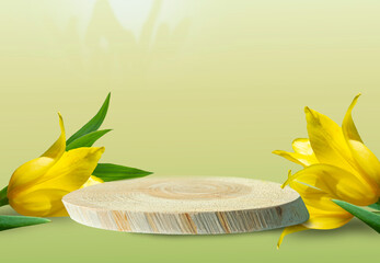 Wooden podium made of natural wood with yellow tulips on a light green background. Presentation of eco-products, layout