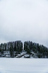 Snow-covered land with trees  in the Nuuksio National Park in a snowy Finland