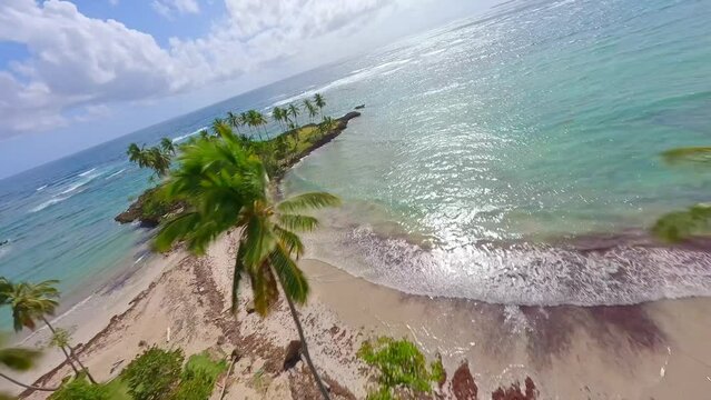 Extreme fpv action flight through palm trees on paradise beach on a sunny day