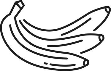 Cuban banana outline icon, bunch of sweet fruits