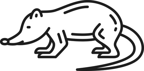 Cuban solenodon outline icon, Caribbean animal
