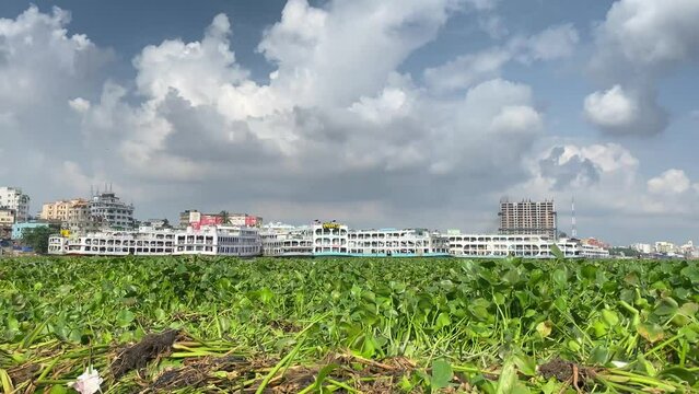 Large yacht and pantoon boats docked in Bangladesh or India. Green vegetation floating in foreground.
