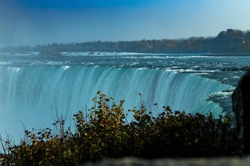 Closeup shot of Niagara Falls and plants nearby under the blue sky, Ontario, Canada