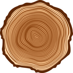 Wood texture wavy ring slice of tree isolate stump