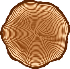 Wood cut tree trunk with year wooden rings, stump