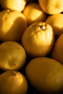 Zitronen und Sonne