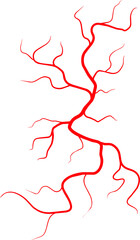 Cartoon veins element, vein in human body vessel