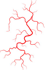 Arterial blood vein vessel, eye capillary icon