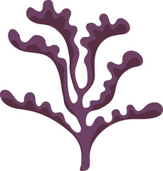 Hard mushroom coral purple isolated seaweed