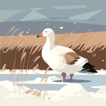 Snow goose in arctic wetlands. Arctic birds in natural habitat. Flat vector illustration concept. Generative AI