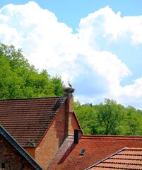 Storchennest auf Geb&auml;ude