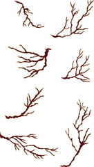 Free hand Sakura flower vector set, Beautiful line art Peach blossom isolate on white background.Branch of cherry blossom for printing on wallpapers and sticker.Japanese flower.Golden line art.