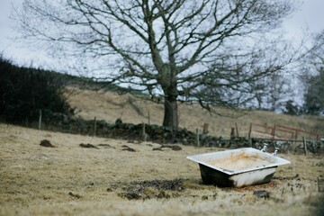 Naklejka na ściany i meble Old bathtub in the field at daytime