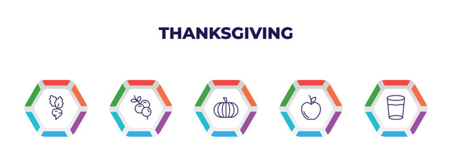 editable outline icons with infographic template. infographic for thanksgiving concept. included beet, berries, thanksgiving, s, glass of water icons.