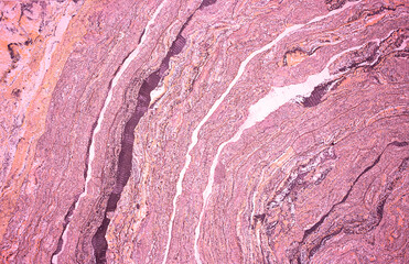 Obraz premium Background from decorative plaster with abstract patterns and stains. Fancy red and pink decoration wall texture, creative purple surface background. Finishing coating for building cladding.