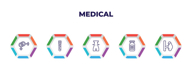 editable outline icons with infographic template. infographic for medical concept. included united heterosexual, blood analysis, nutrionist, pills jar, adrenal gland icons.