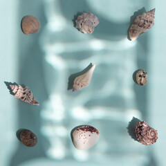 Different kind of seashells on the blue background with underwater effect top view.