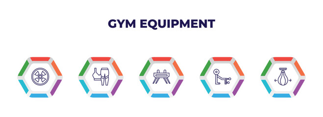 editable outline icons with infographic template. infographic for gym equipment concept. included tire, women fitness clothing, vaulting horse, fitness bench, punching ball icons.