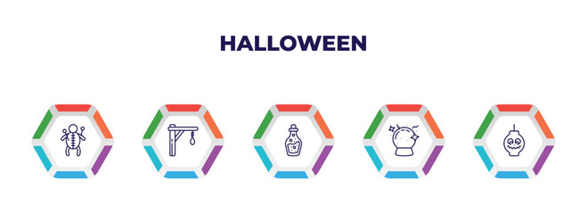 editable outline icons with infographic template. infographic for halloween concept. included doll, gallows, flask bottle, future, lanterns icons.