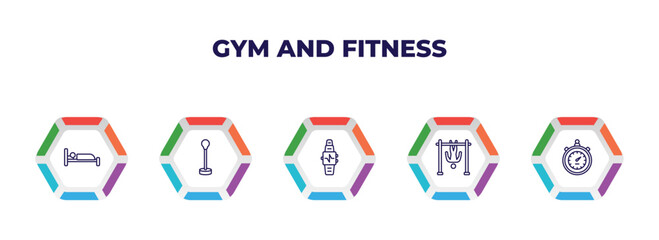 editable outline icons with infographic template. infographic for gym and fitness concept. included sleep, standing punching ball, fitness watch, bar exercising, big stopwatch icons.