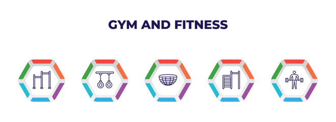 editable outline icons with infographic template. infographic for gym and fitness concept. included gym ladder, gymnastic rings, bosu ball, tightening bar, exercising dumbbell icons.