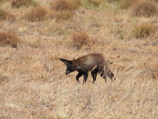 Road Trip Karoo Nat Park 