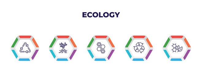editable outline icons with infographic template. infographic for ecology concept. included recycling, tree and roots, eco power cells, recycle, eco cell icons.