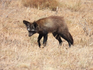 Road Trip Karoo Nat Park 