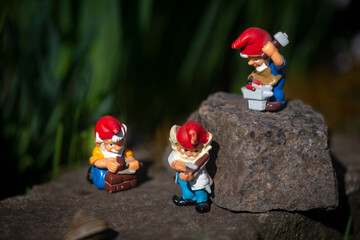 Musical trio of gnomes.Working gnomes in a fairy garden.Floral landscape with a fairy-tale...