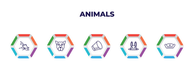 editable outline icons with infographic template. infographic for animals concept. included fishes in the ocean, pit bull, elizabethan collar, bunny, pet bed icons.