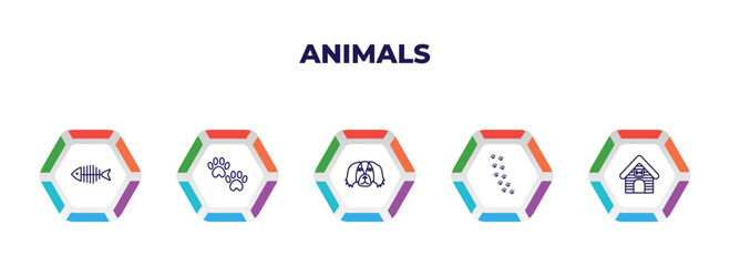 editable outline icons with infographic template. infographic for animals concept. included fish bone, pawprint, pekingese, pawprints, kennel icons.