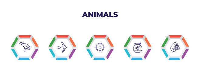 editable outline icons with infographic template. infographic for animals concept. included condor, swallow, hunt, terrarium, bug on leaf icons.