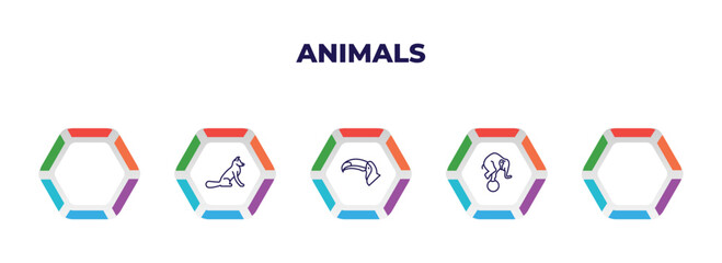 editable outline icons with infographic template. infographic for animals concept. included elk, fox sitting, salamander, big toucan, elephant on a ball icons.